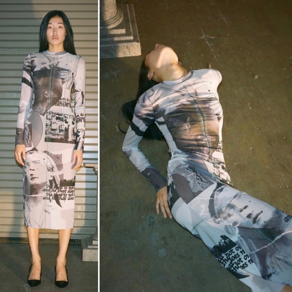 Danielle Guizio Long Sleeve Black&White Mesh MIDI Dress. NWT. Size small.